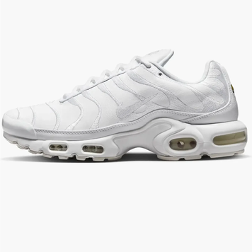 Кросівки чоловічі Nike Air Max Plus TN White (AJ2029-100) AJ2029-100 фото