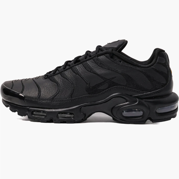Кросівки чоловічі Nike Air Max Plus TN Black (AJ2029-001) AJ2029-001 фото